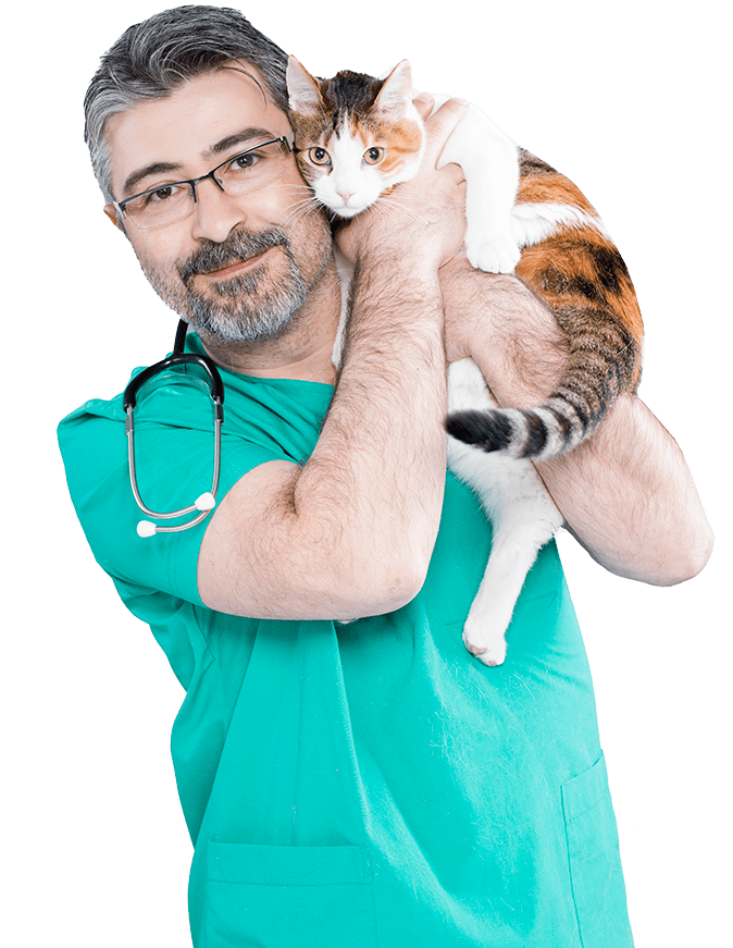Your Pet's Vets picture of a licensed veterinarian holding a cute cat to his head.